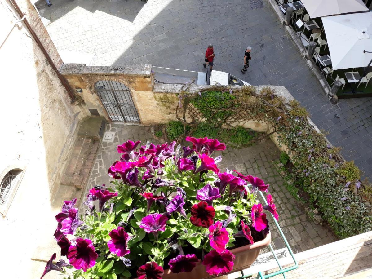 B&B Simonetta Siena Exterior foto